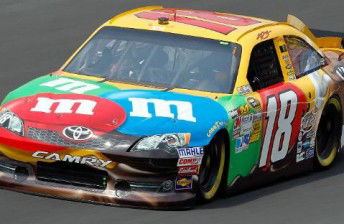 Busch loses drivers licence for speeding