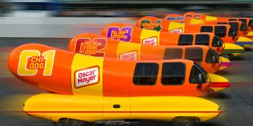 Racing hot dogs. Yes, that's right. Image: Supplied