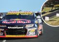 Broc Feeney and a kangaroo on track at Mount Panorama.