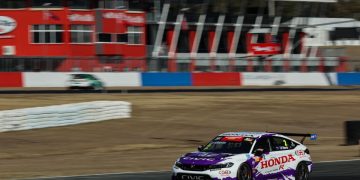 Fastest in practice, Tony D'Alberto is on track to snare a fifth pole position in a row when Supercheap Auto TCR Australia qualify on Saturday. Image: TCR Australia