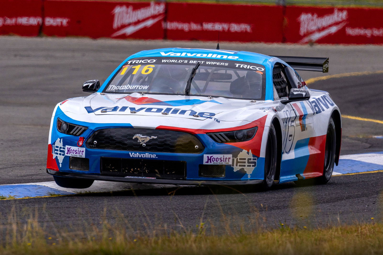 The #116 Ford Mustang driven by Edan Thornburrow at Sandown.