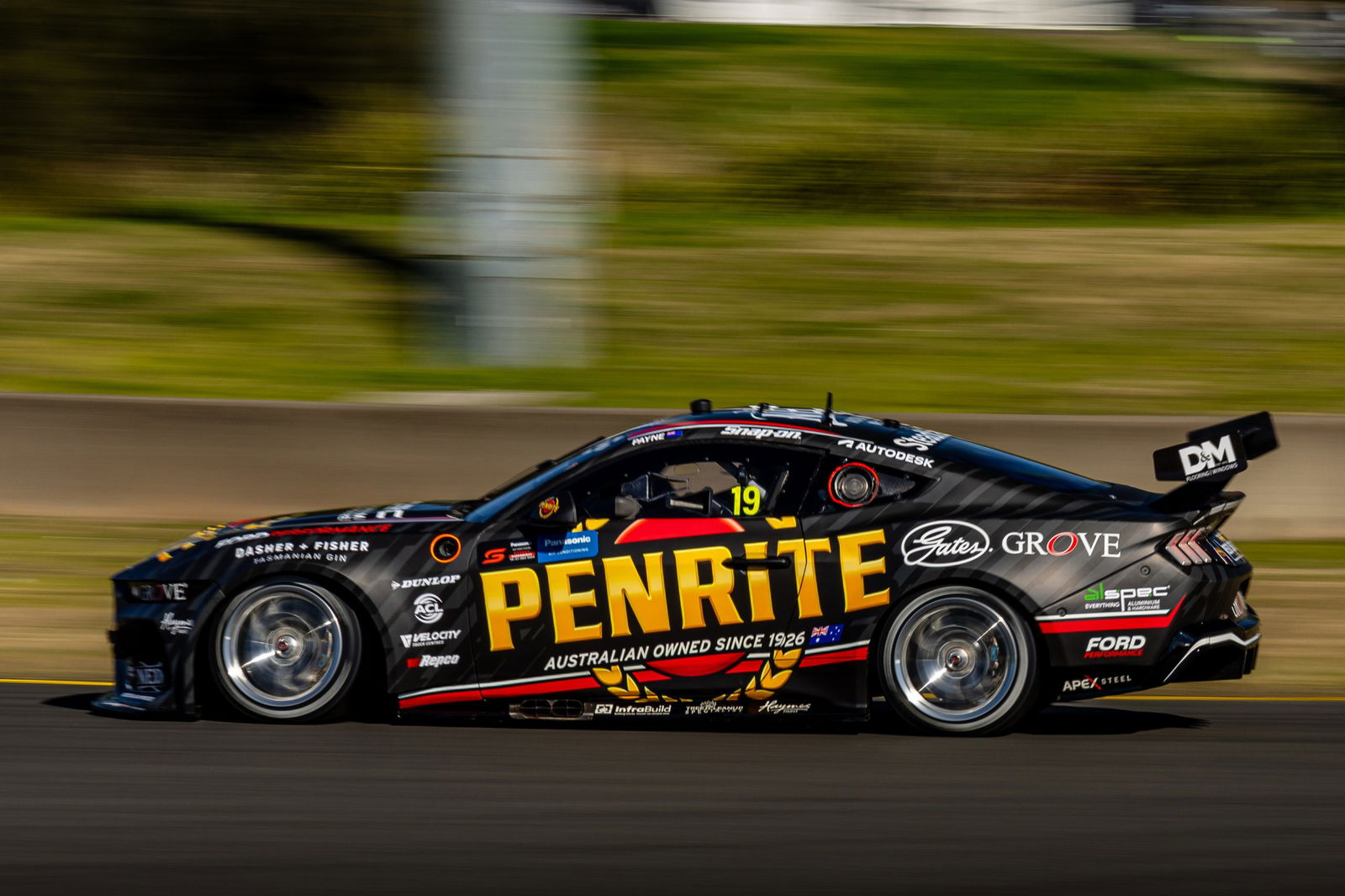 Matt Payne in his #19 Ford Mustang.