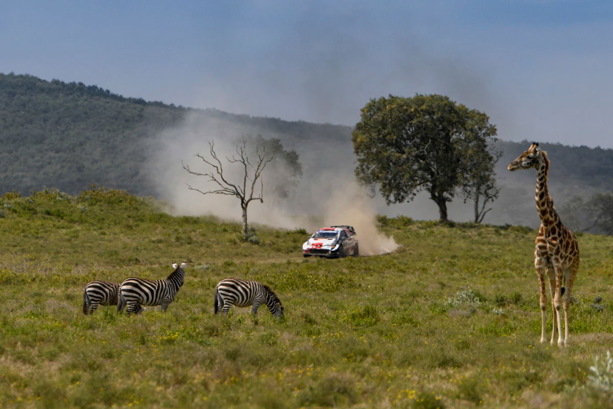 news GALLERY The best of Safari Rally Kenya