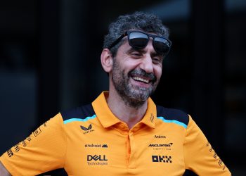 McLaren team principal Andrea Stella has been described as 'the swan' by CEO Zak Brown