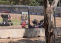 Ben Morris rolled during a Sprintcar media call in Adelaide this morning. Image: Supplied