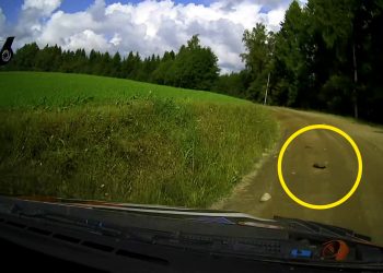 A rock ruined Kalle Rovanpera's home rally in Finland.