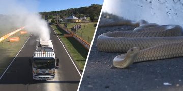 Practice 2 of the Repco Bathurst 1000 was delayed due to a major oil spill and a snake circuit invasion. Image: Fox Sports